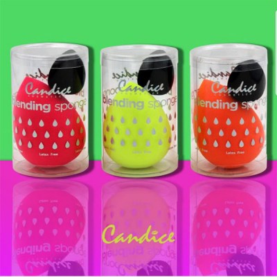 캔디스: 네온 스폰지 / CAN-BSDNEON (12개)